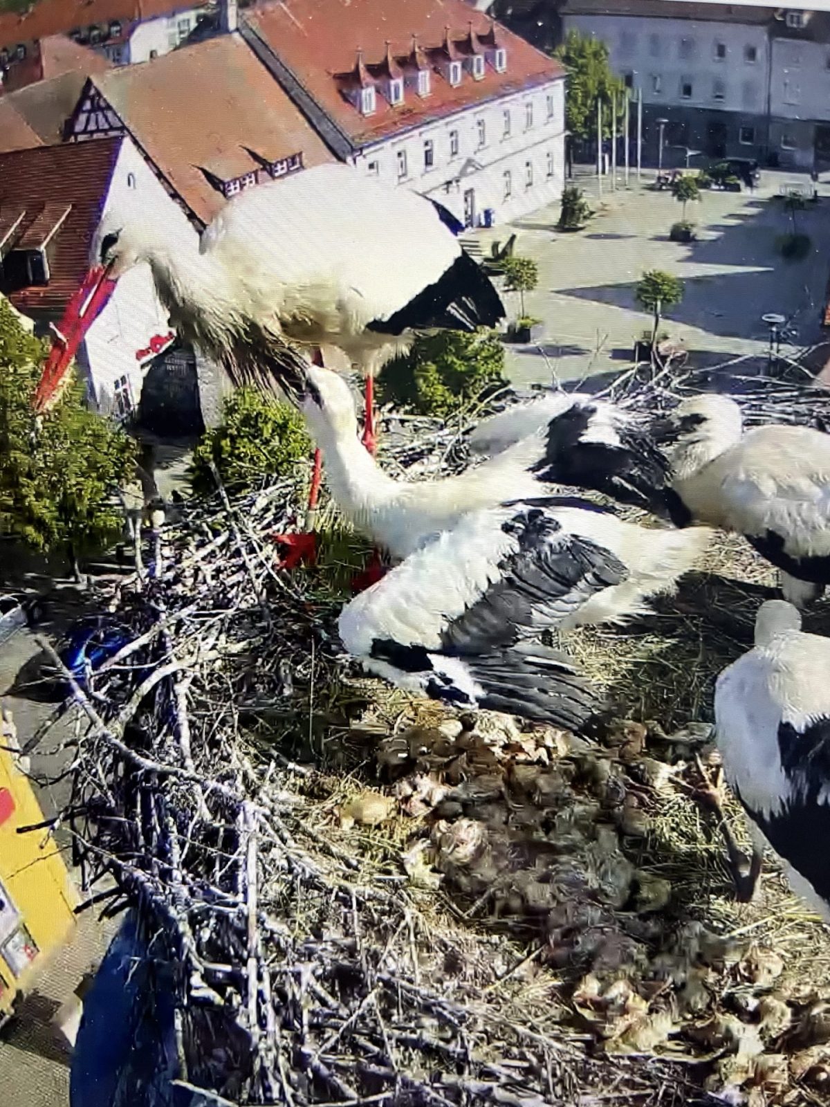 43C9193C-07B3-4754-AE72-4DBE6C041E21