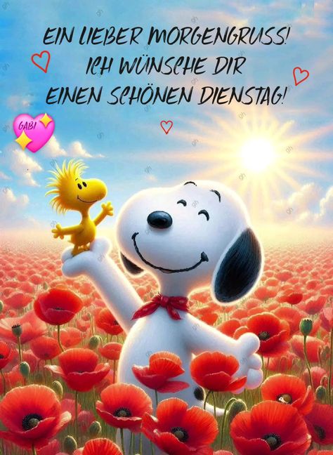 43cb3d06a9d57feeea4e3868c83d5e9d