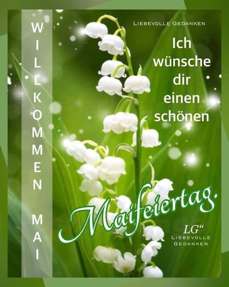 440968230_2139302133094804_1294795426970244392_n (1)