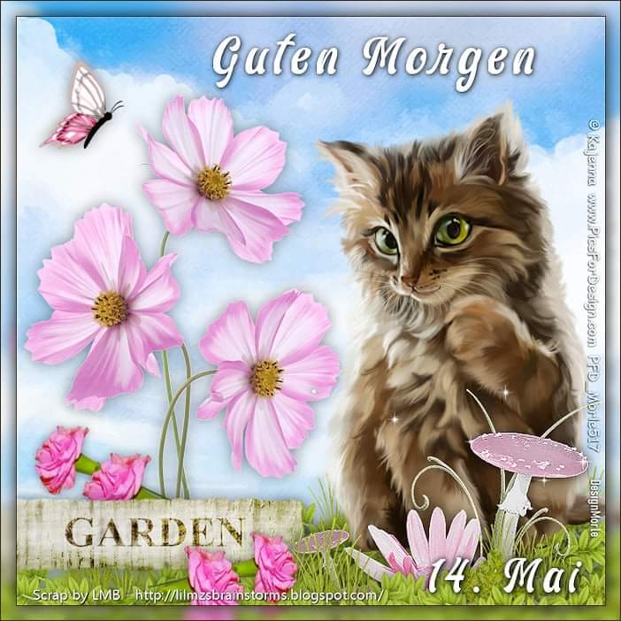 441080066_7575480625876780_4621734500305389461_n (2)