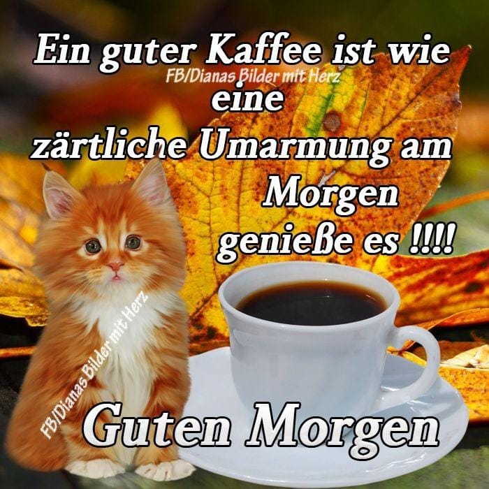 441167128_1798217167341232_1335700922003124155_n (1)