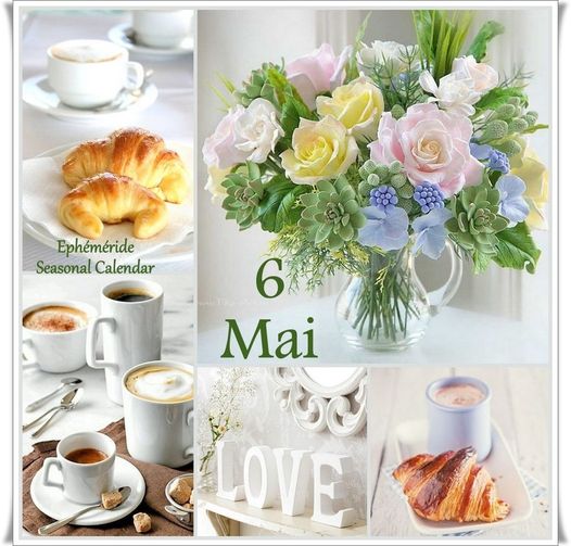 442386573_870763465085957_7031407651053774307_n