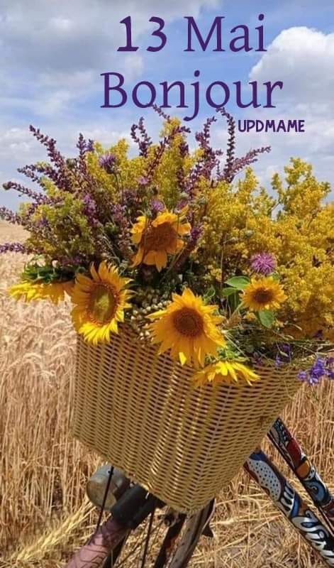 442406436_795457429313810_6455348492749590332_n (2)