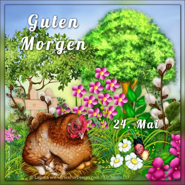 443718279_1176394943725146_1981057871314295506_n (1)