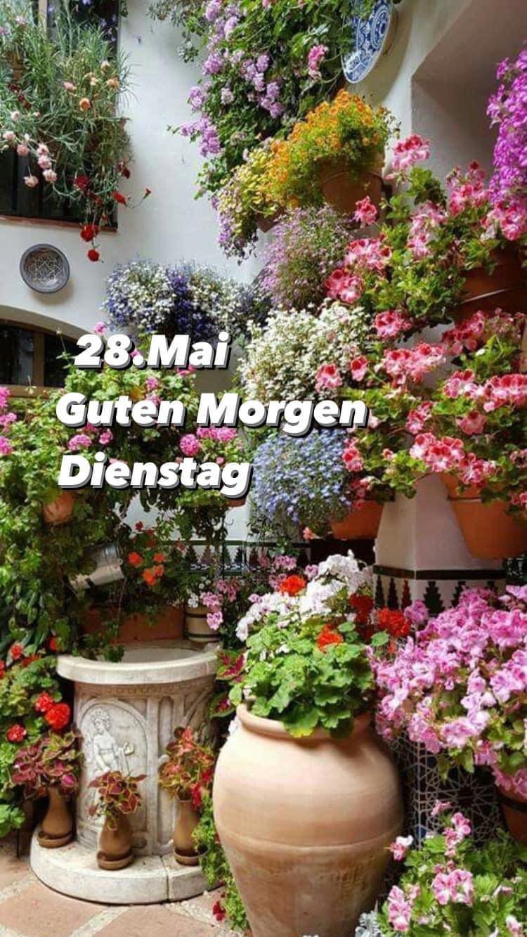 444224480_765607982410665_4204188890283310114_n (2)