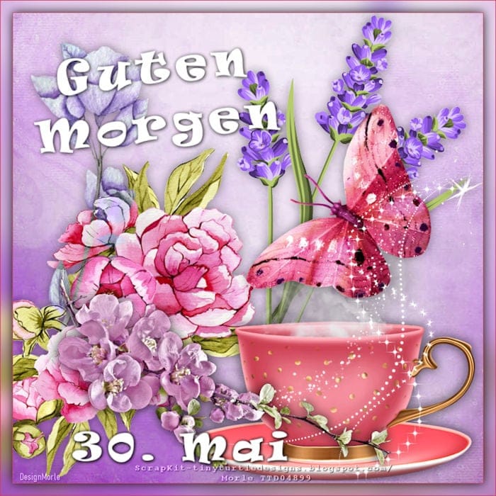 445180222_7653890728035769_15887142882026007_n (2)