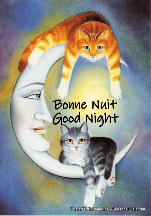 445413865_885056586989978_3867354348402586836_n