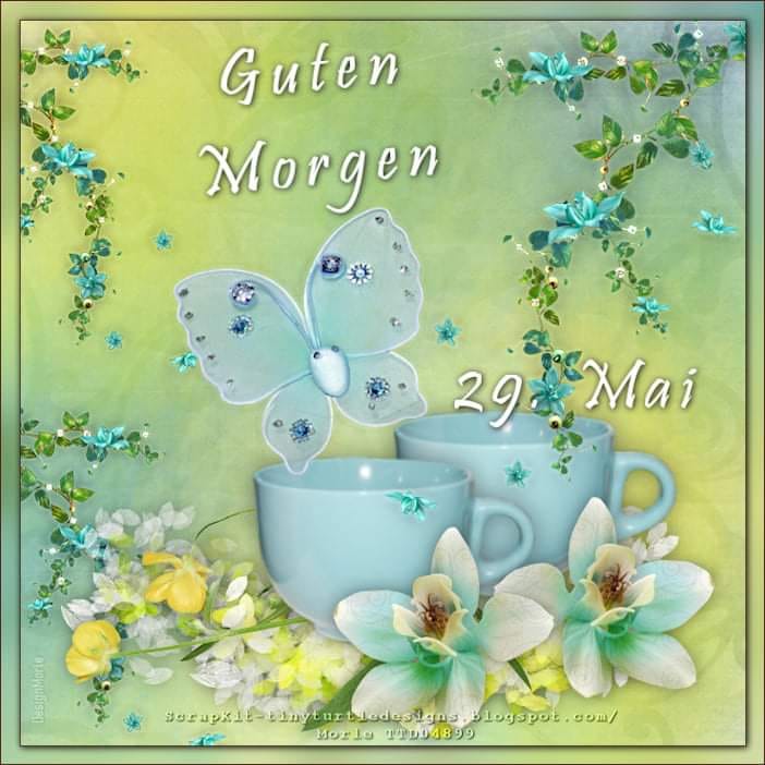 446872456_7649025715188937_7712911076617968377_n (2)