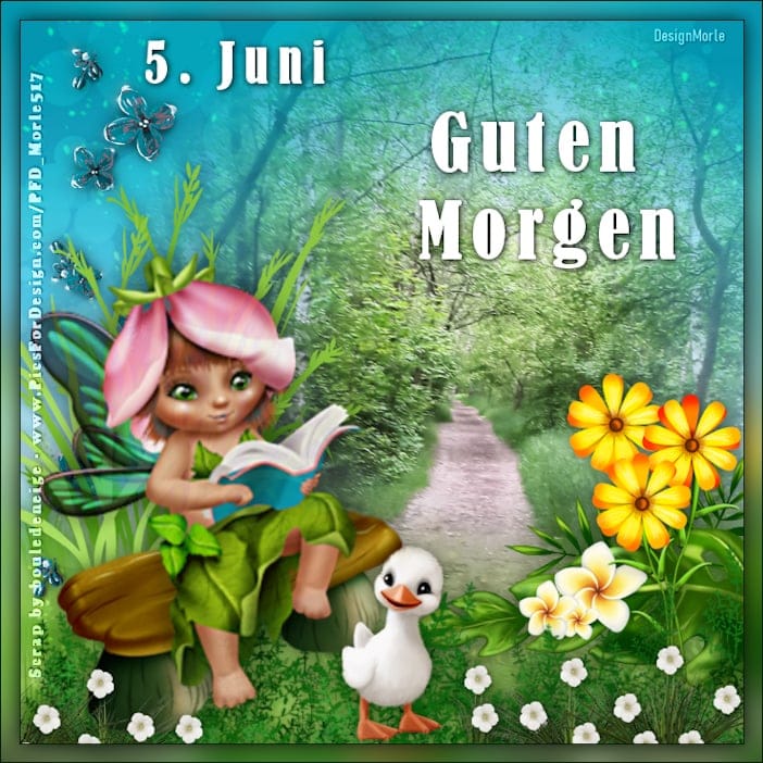 447744833_7682116585213183_3542451484522449716_n (2)