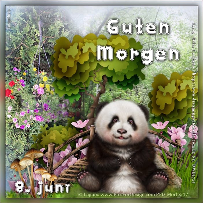 447976467_7697187290372779_9175762364004854298_n (2)