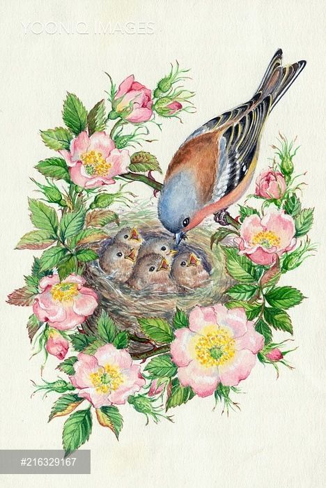 447e13428f051e8fca163a05227f2b67