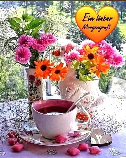 448355827_1262541571576984_470263560266522863_n