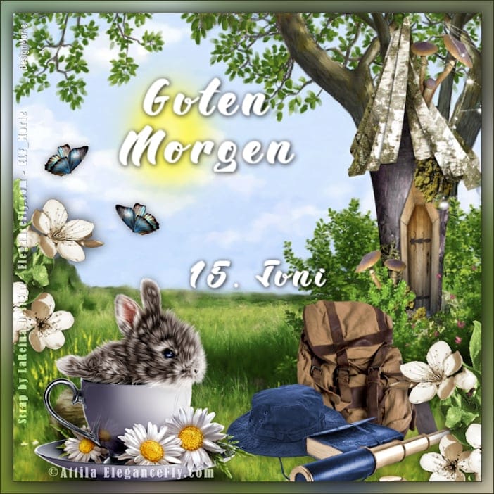 448400865_7730509143707260_983983593004231601_n