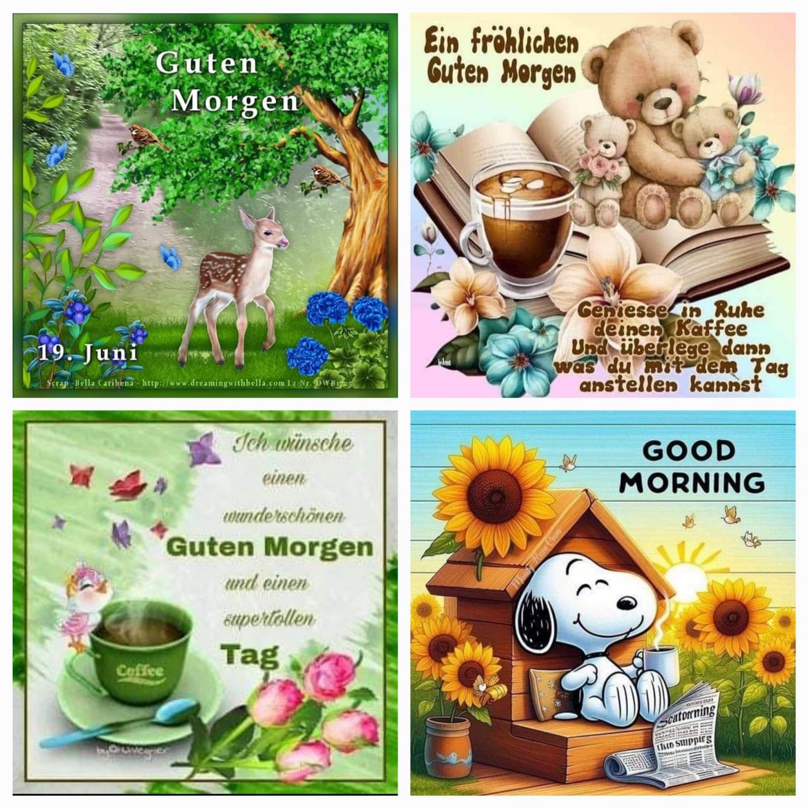 448717447_307620912421108_5387330672921091099_n (2)