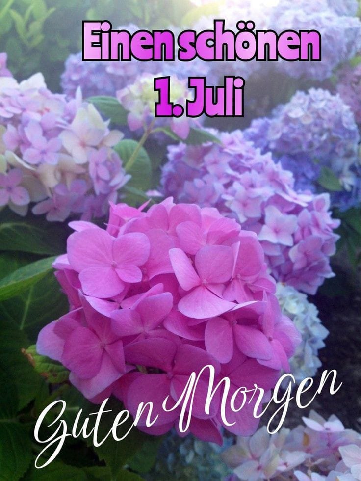 449194968_441711648634925_633242936912302844_n (1)