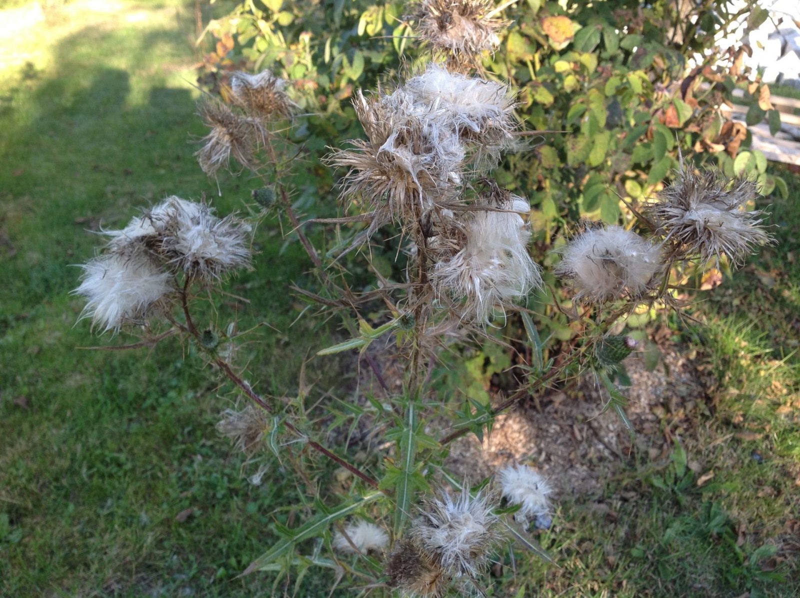 449FE935-60DC-4E51-9EEE-4562A432D688