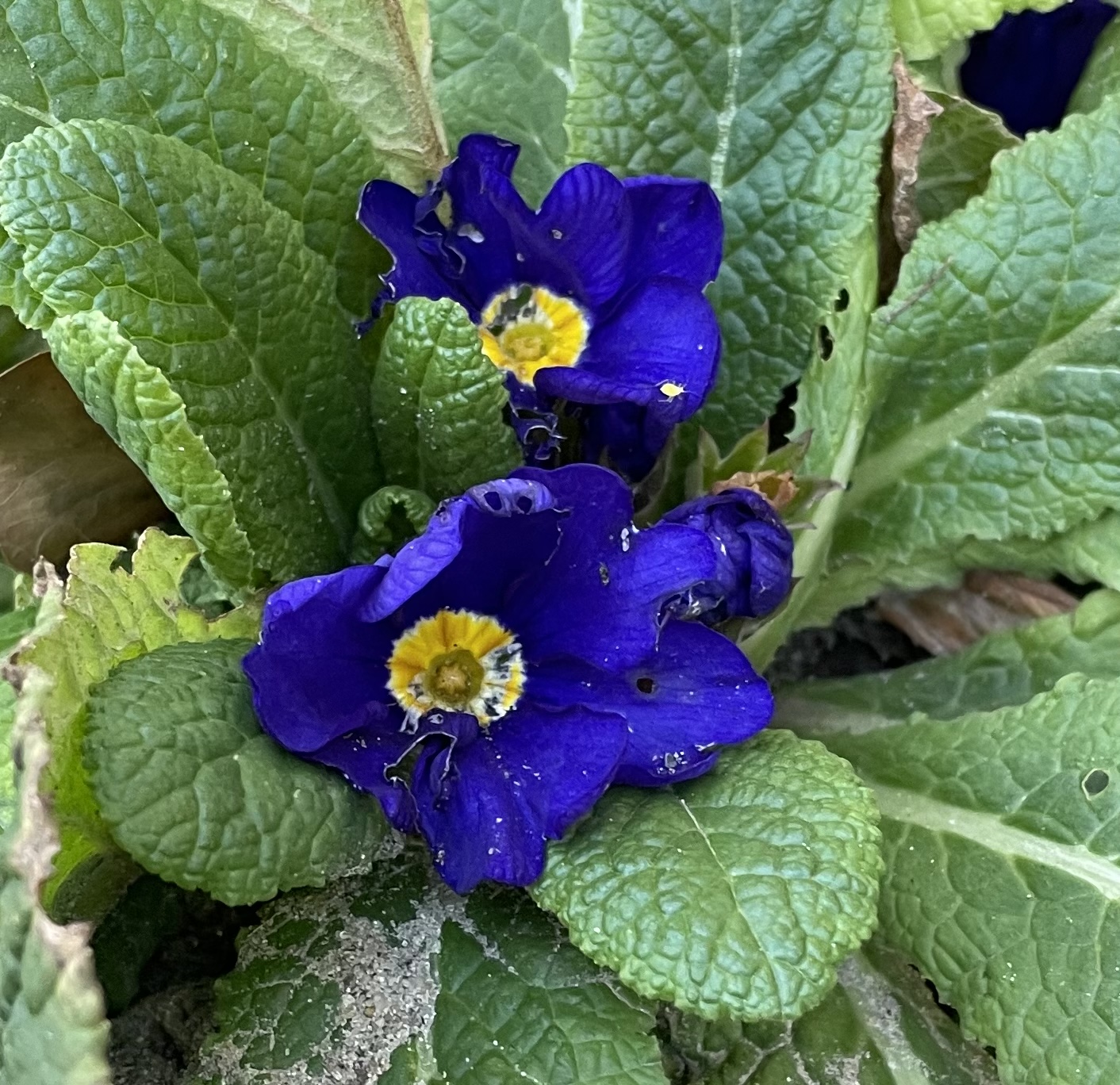 44B72C92-AE36-4D17-BC25-7C81DADBA1D0