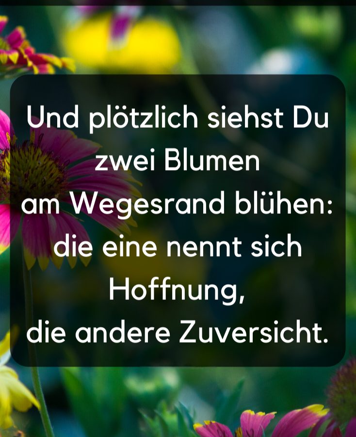 44d73b265662d3dc4a3f2f865b20b4bf