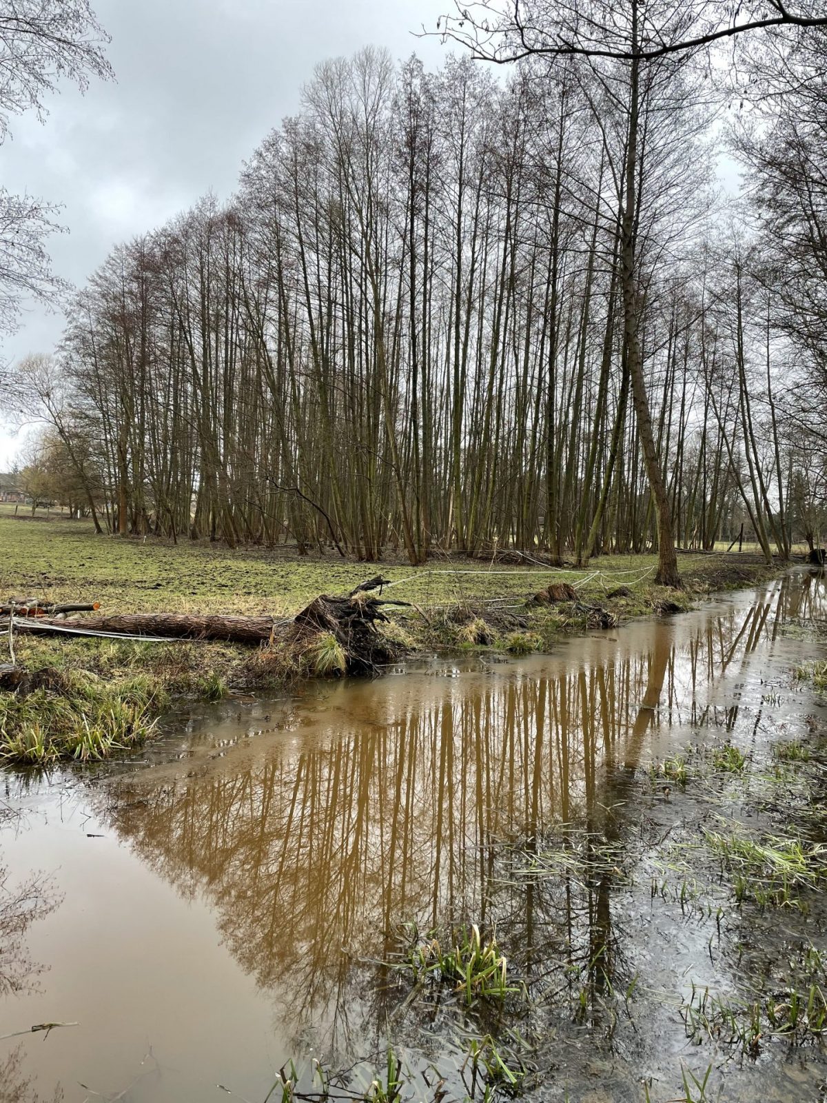 450D50D4-7893-43E7-BAFE-1257DFC931E9