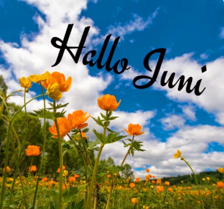 452ee8e9-c32f-4c55-b7cb-87de3ed27791