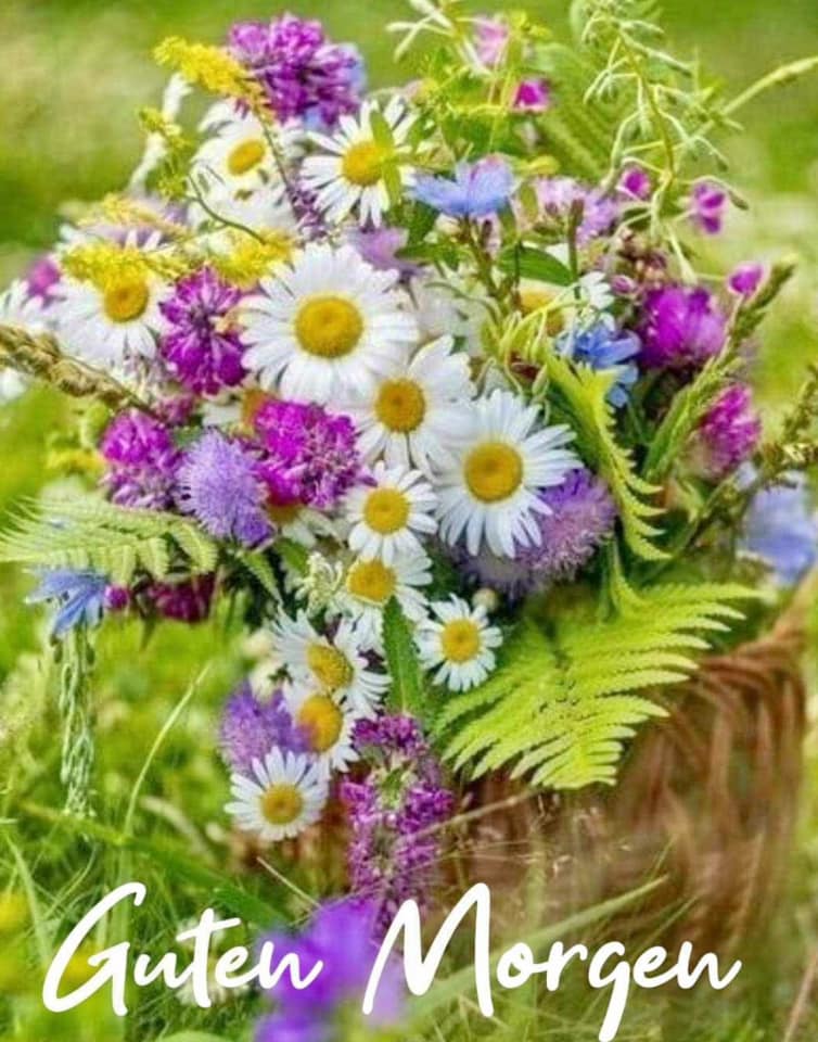 454494303_1662725271244244_9188524936994111422_n