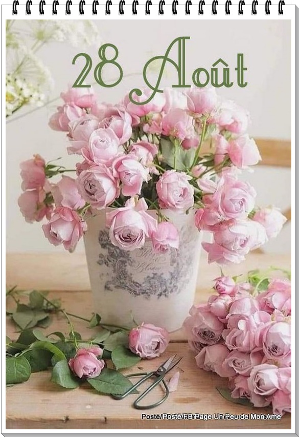 457477344_942692161226420_7141377182349849920_n