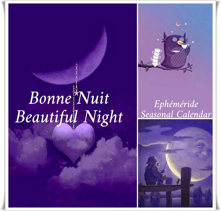 457780713_944351441060492_2933611027861857068_n