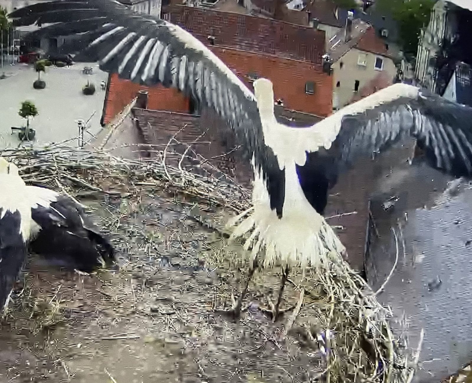 45D1A0F5-7683-44E2-ADF6-C8123867BB8F