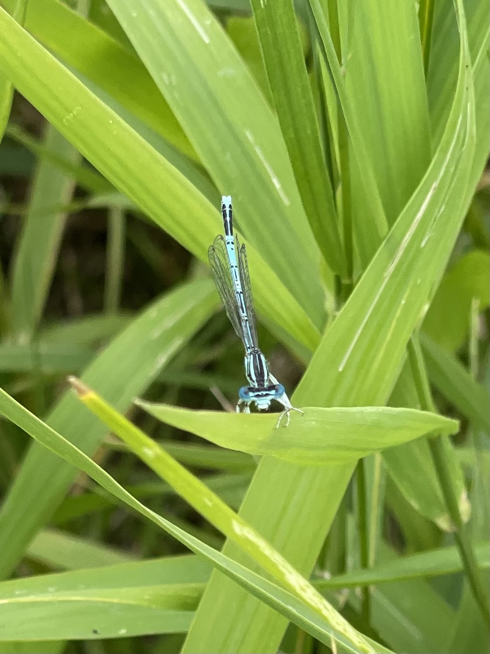 45FC35E8-75B6-4077-8BC3-6F09EF8FE0A1