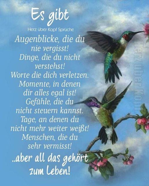 461429946_10233518602056306_1892422135622557249_n