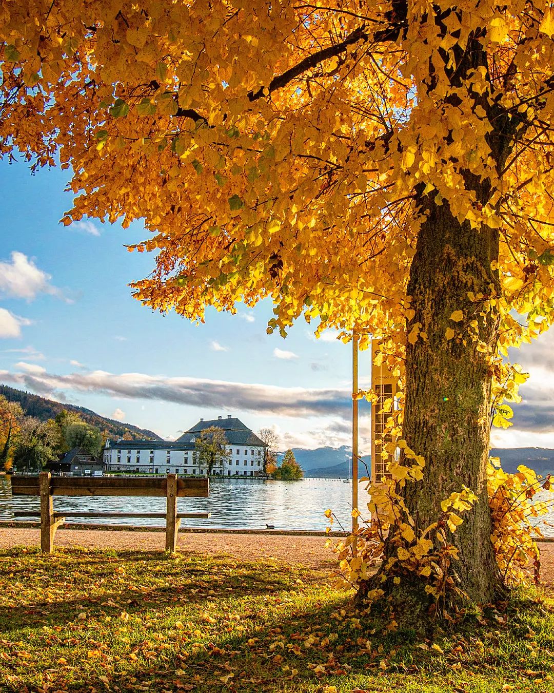 463937028_954848853353763_7074635299966996743_n