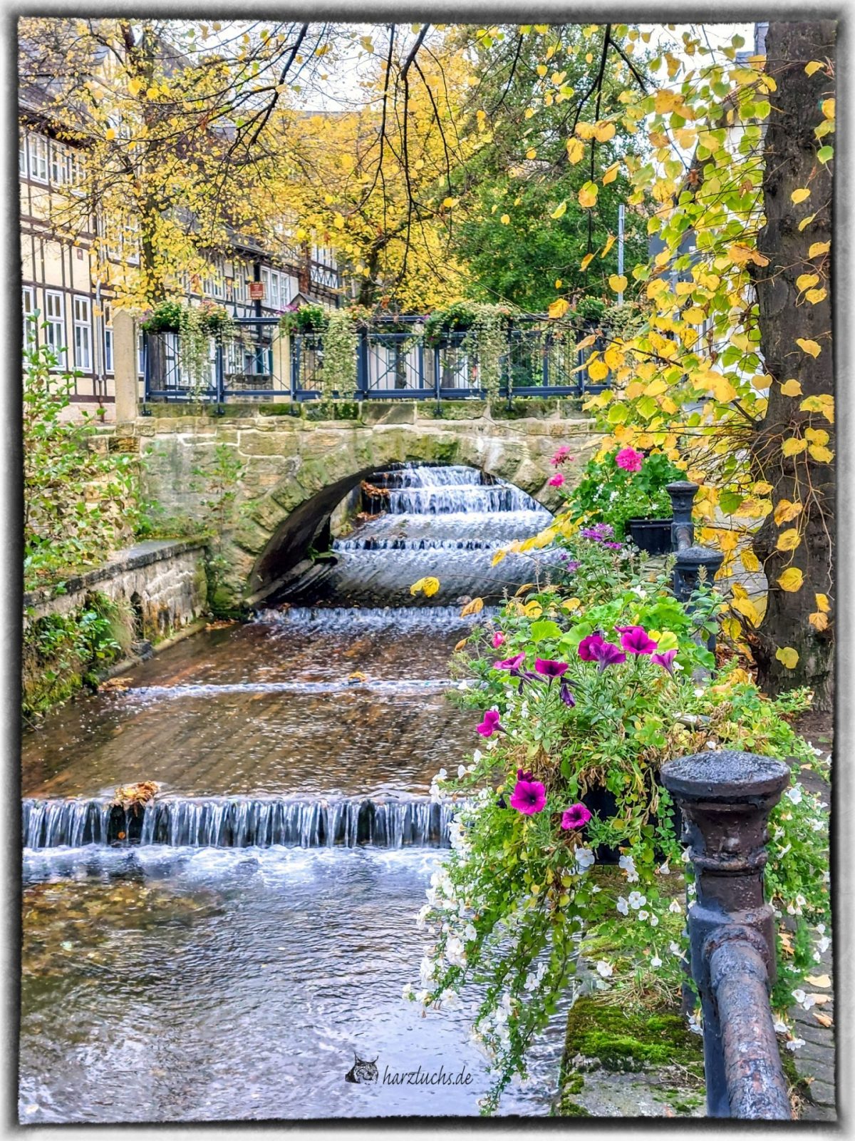 464037511_1092942962831180_8008370144546844236_n