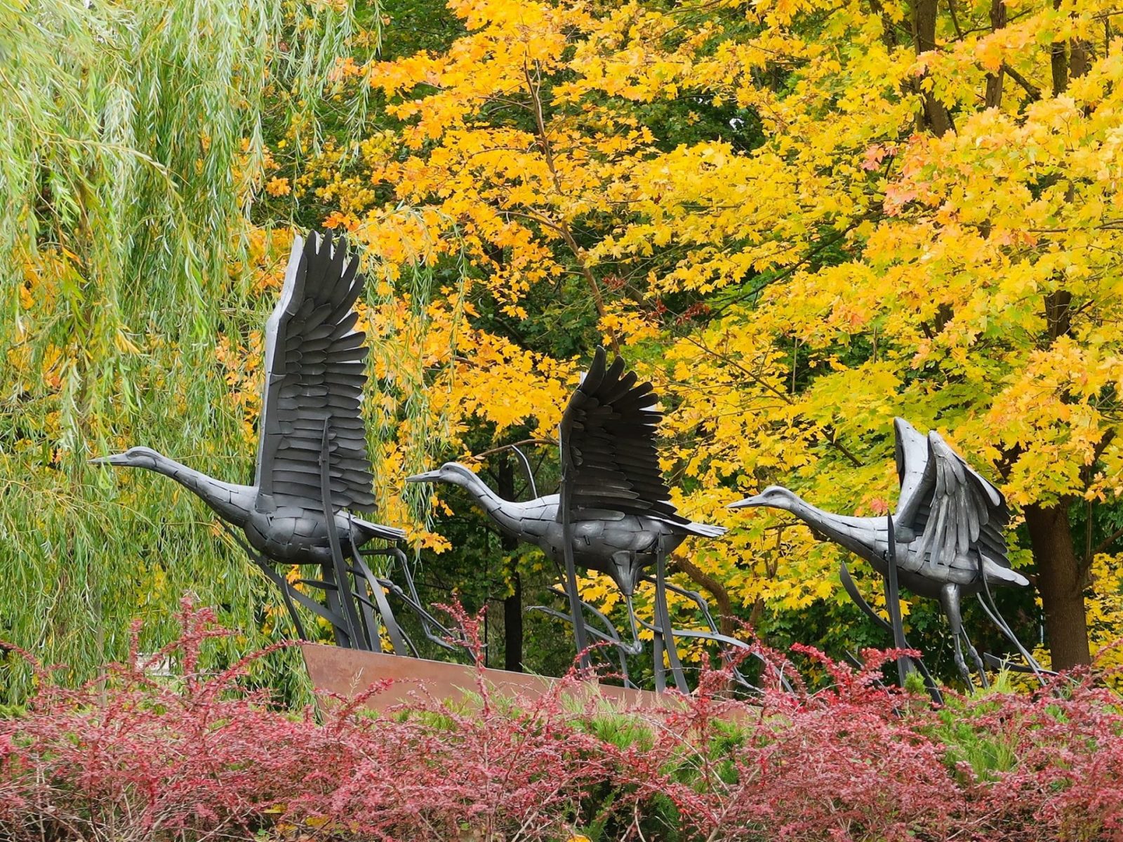 465463486_2577050629147369_1245615640700960539_n