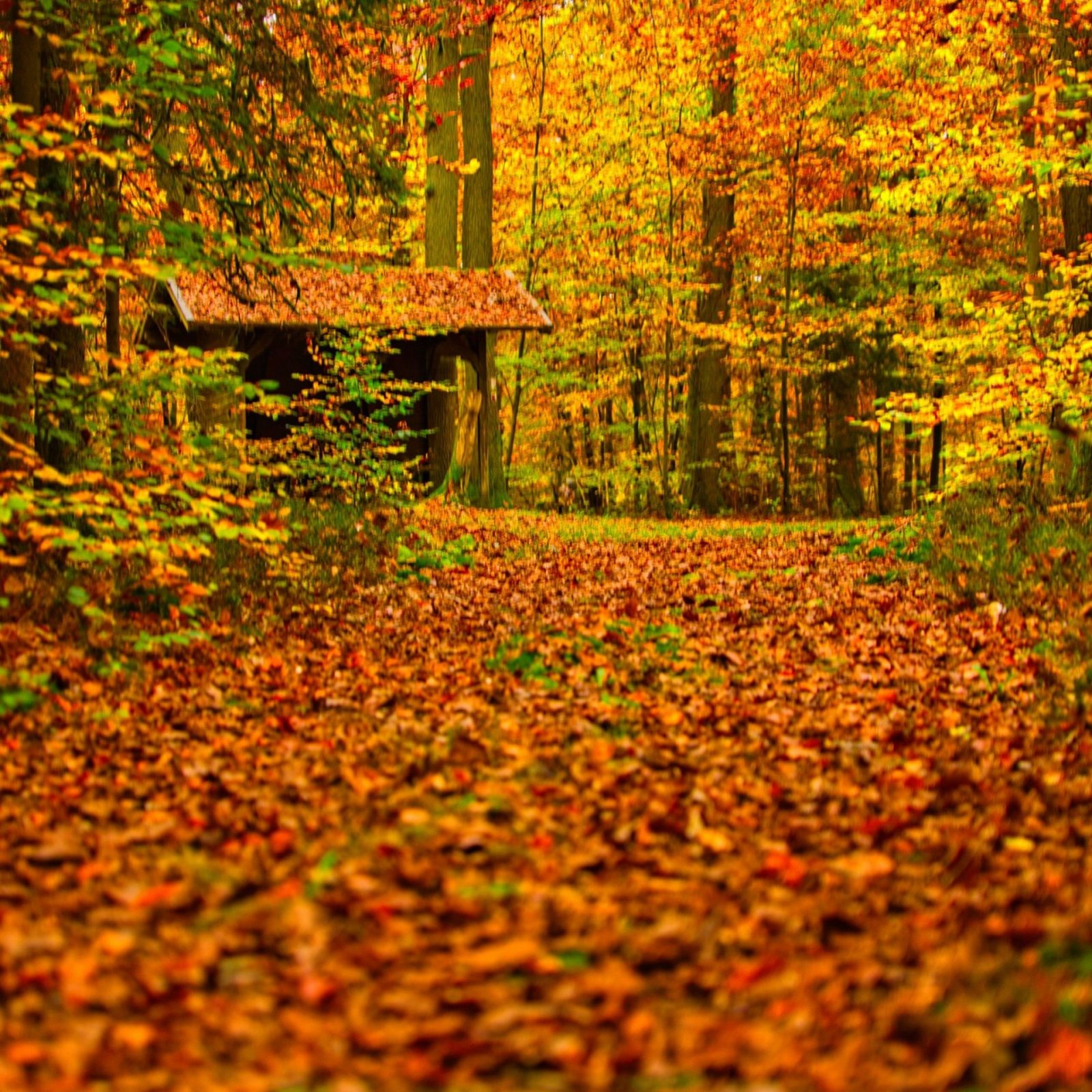 465663181_570516225487762_8285209820840528910_n