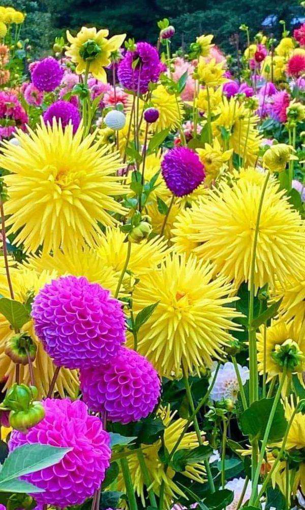 465671616_1791529441652418_8106303926113057521_n