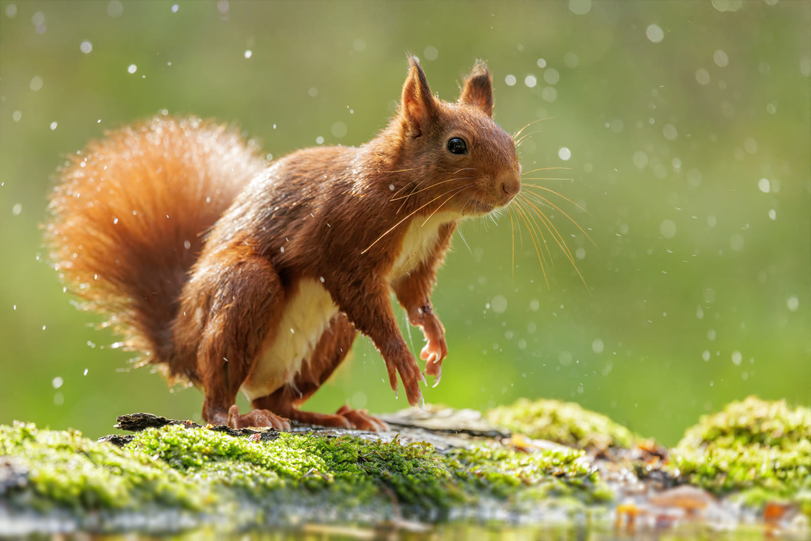 466773097_8177100499056754_5779135403035446439_n