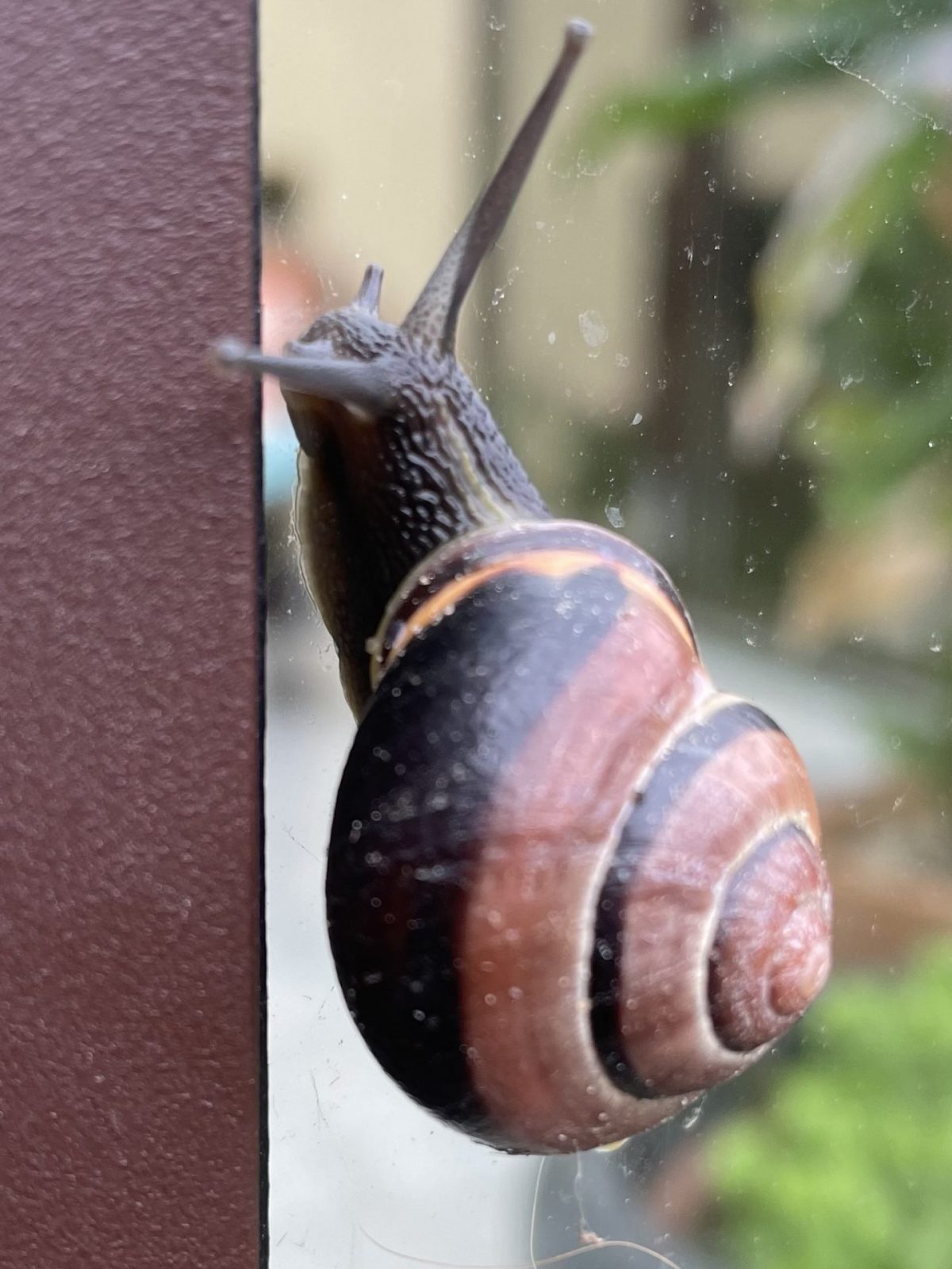 466B7A23-8F3A-4F3E-B768-369285E97401