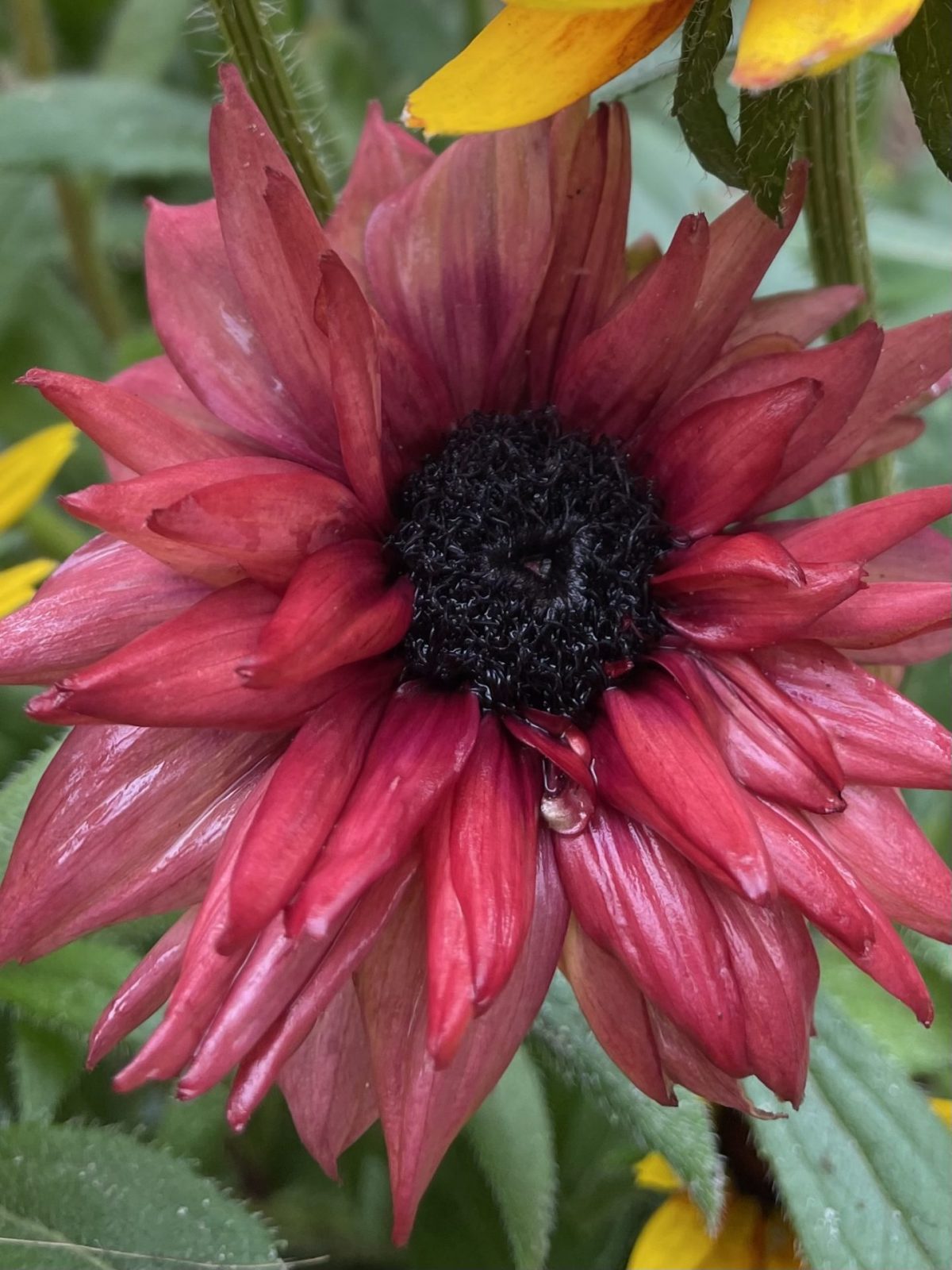 4673996E-04A8-4D03-B116-C273EB19BE85