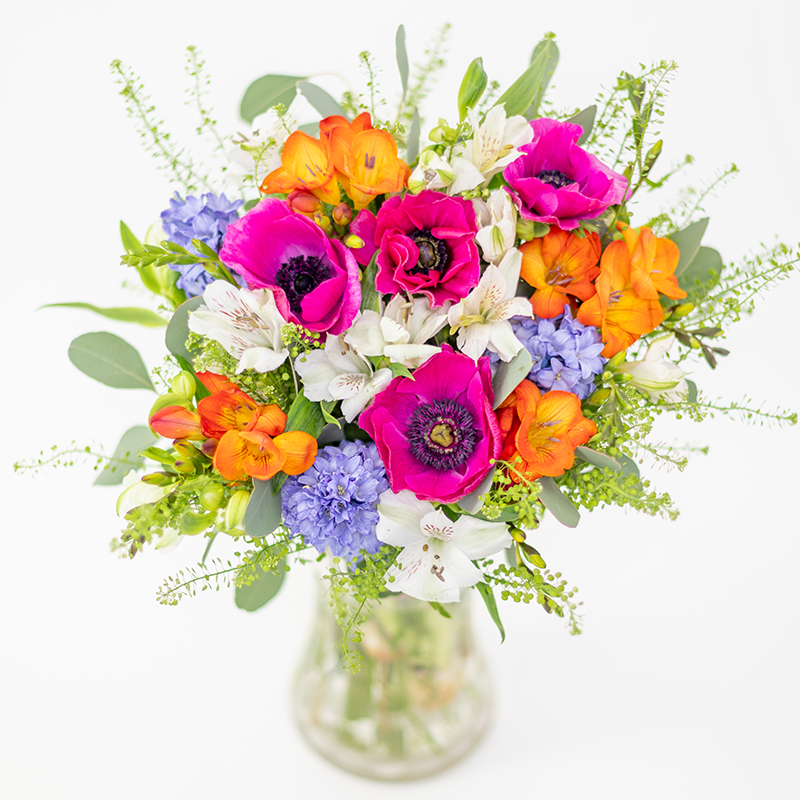 468153852_1277625166699231_5184875968087625799_n