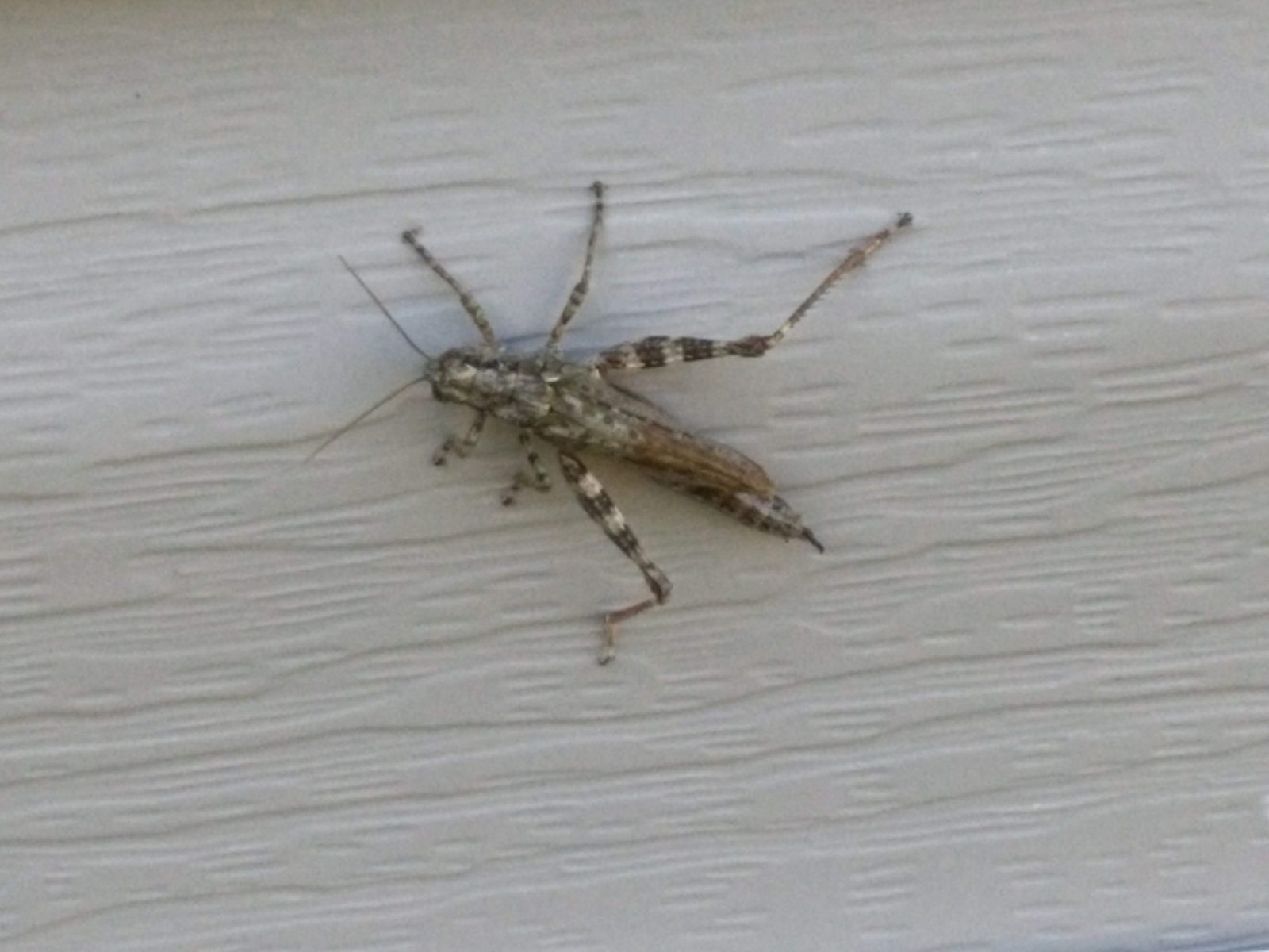 469231800_122150996756312277_8584254453758888125_n