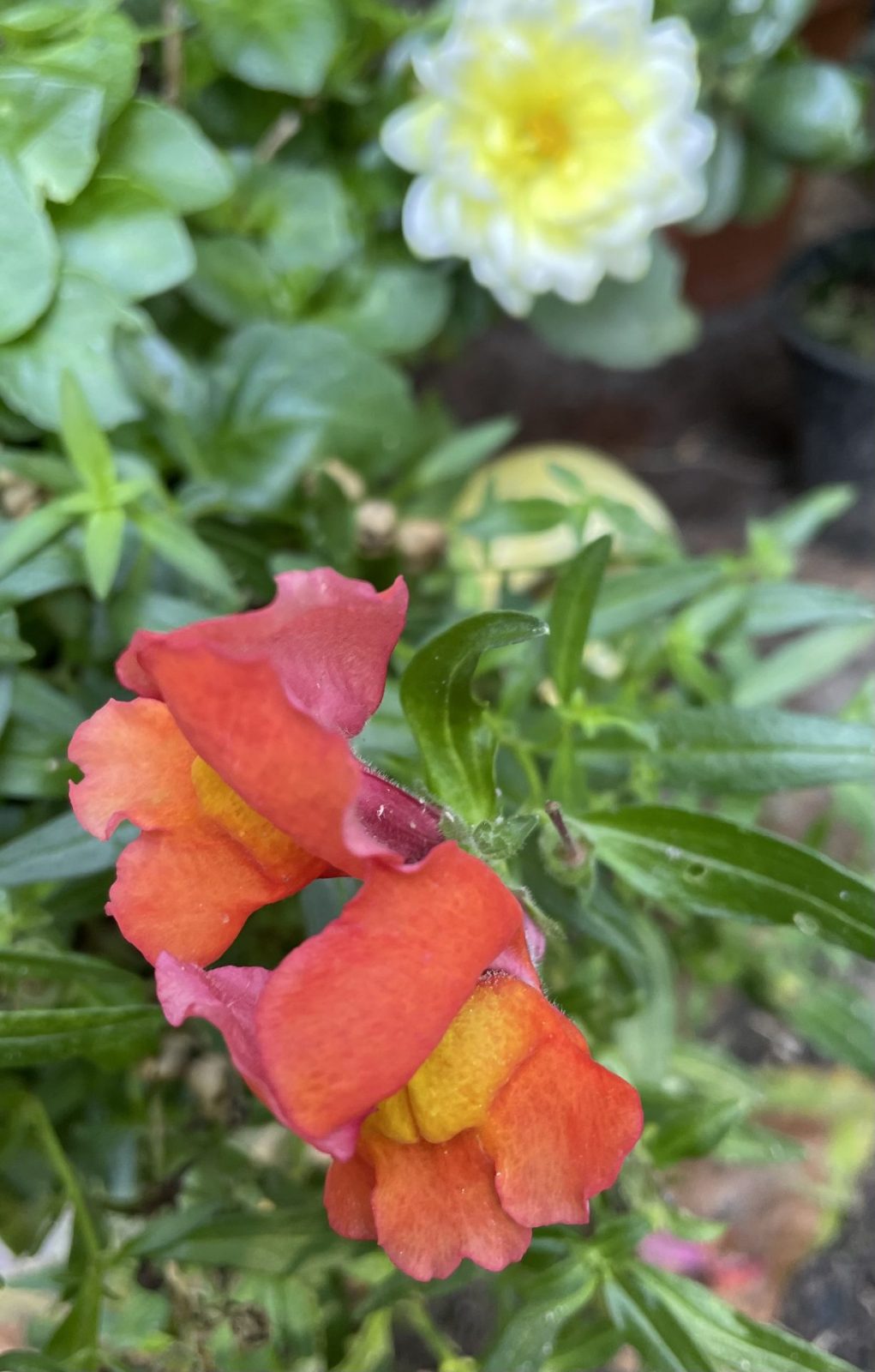 469B1416-949F-41B4-BE54-5950F1450890