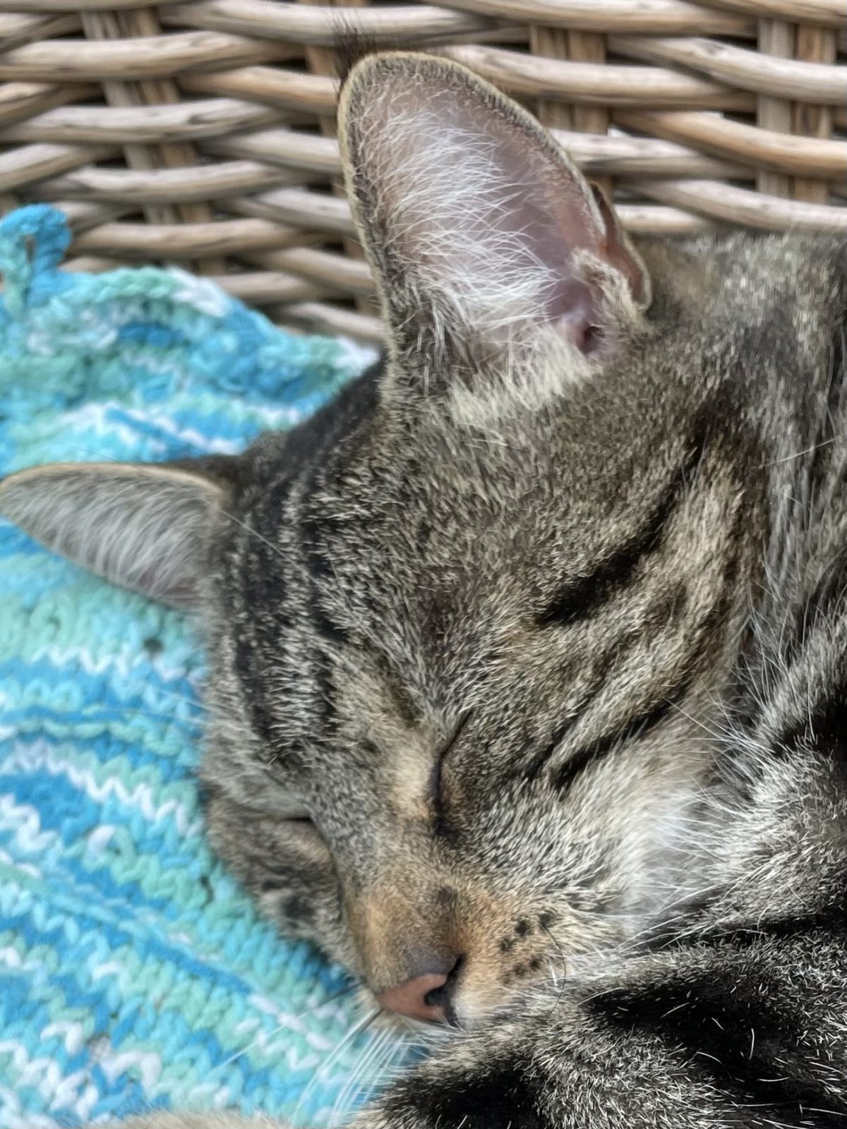 46C50CF7-B867-4D9F-B552-CCF13548969B