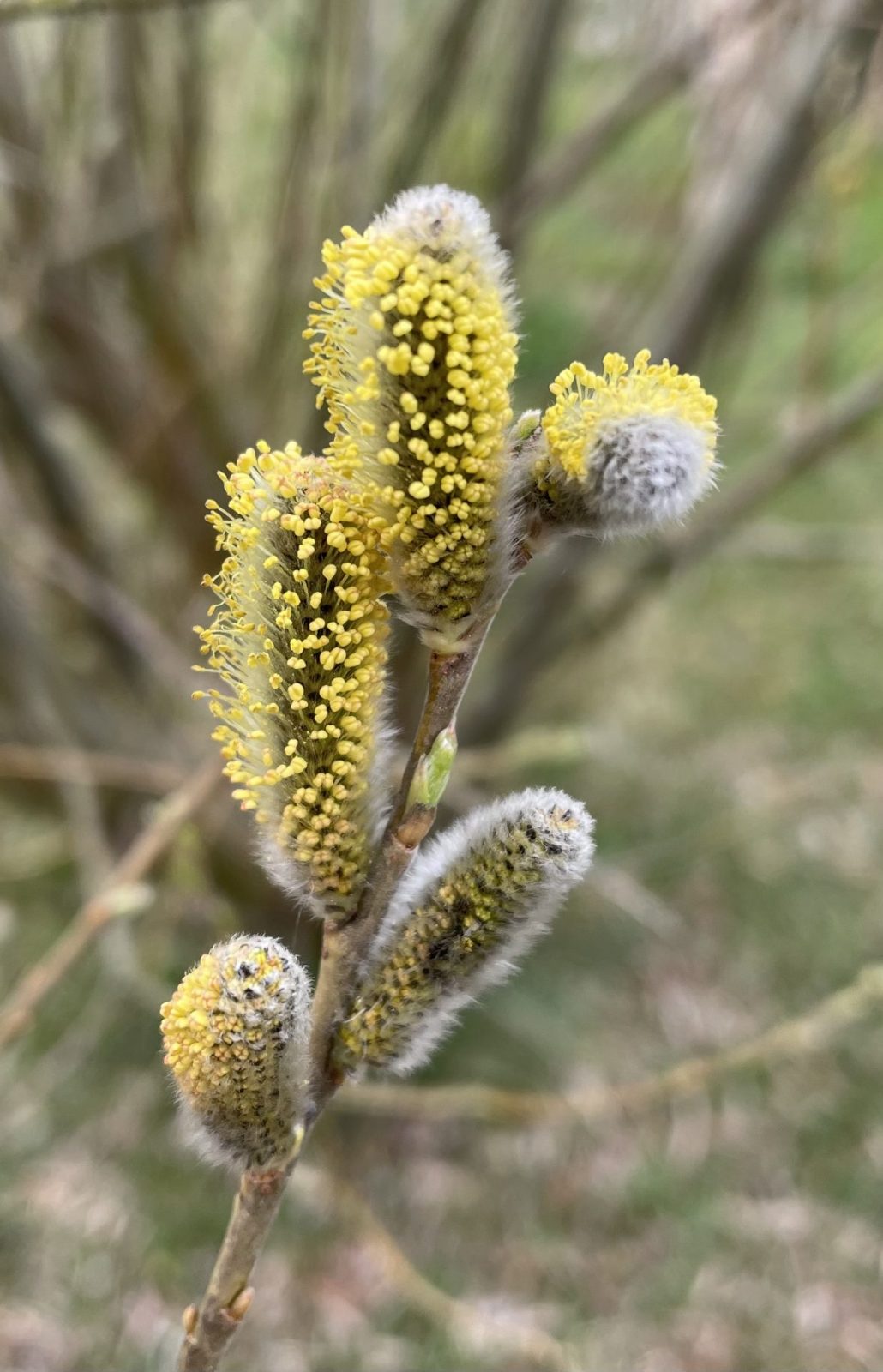 47116167-A715-4116-B941-1618D1DF5DA9