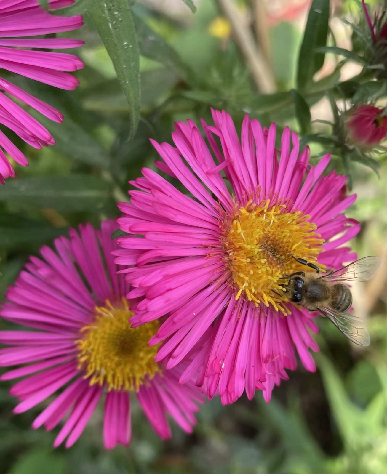 4718C10D-5FB9-48B1-B031-7F6A2FC663A3