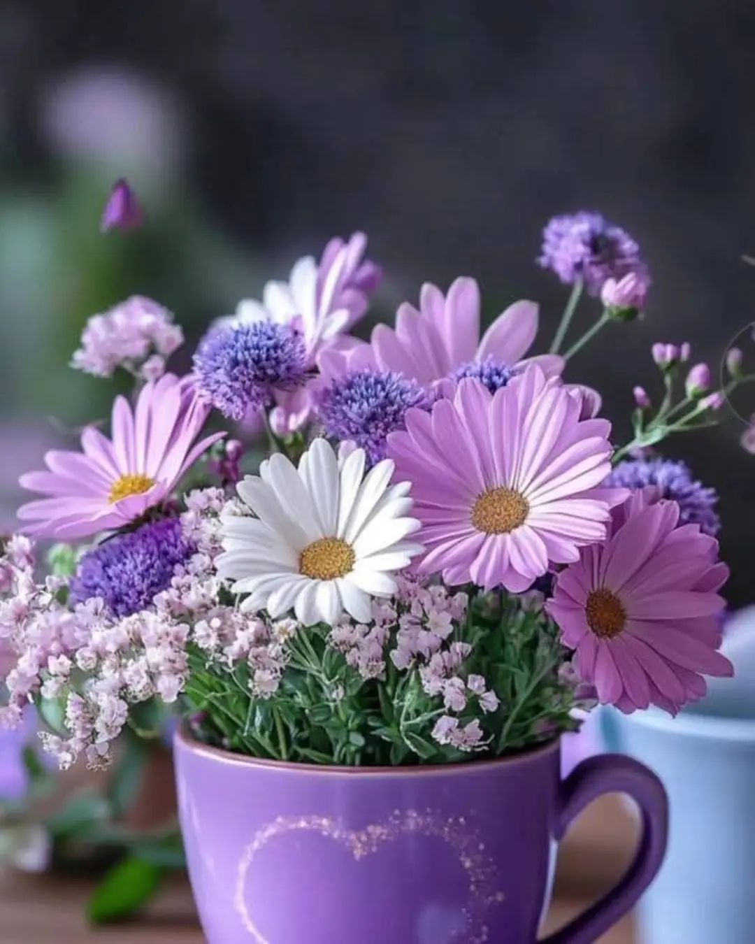 473053369_3995465007334369_4081367234127414206_n