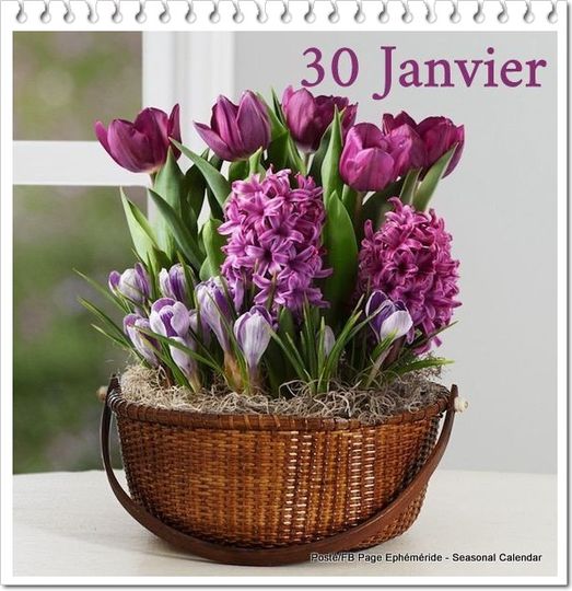 475808108_1052961333532835_3601958562833263481_n