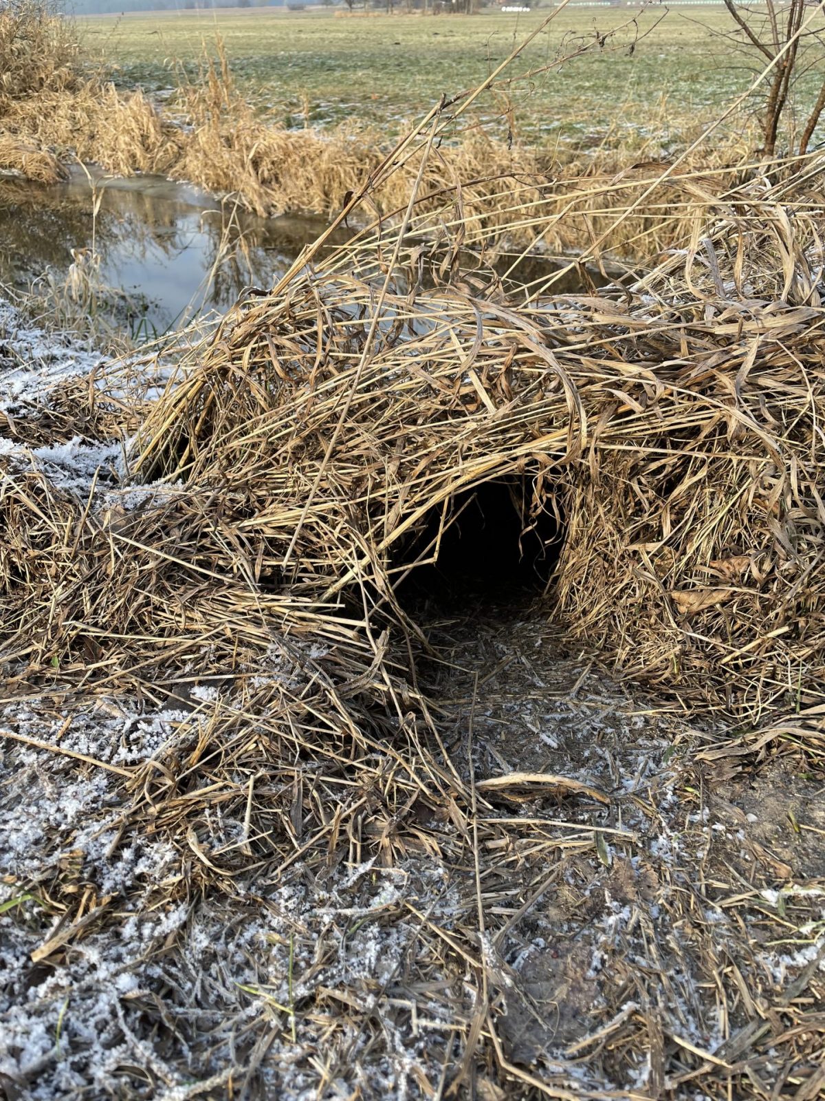 475D6B74-88B5-4082-9F69-FF9A8DCF3295