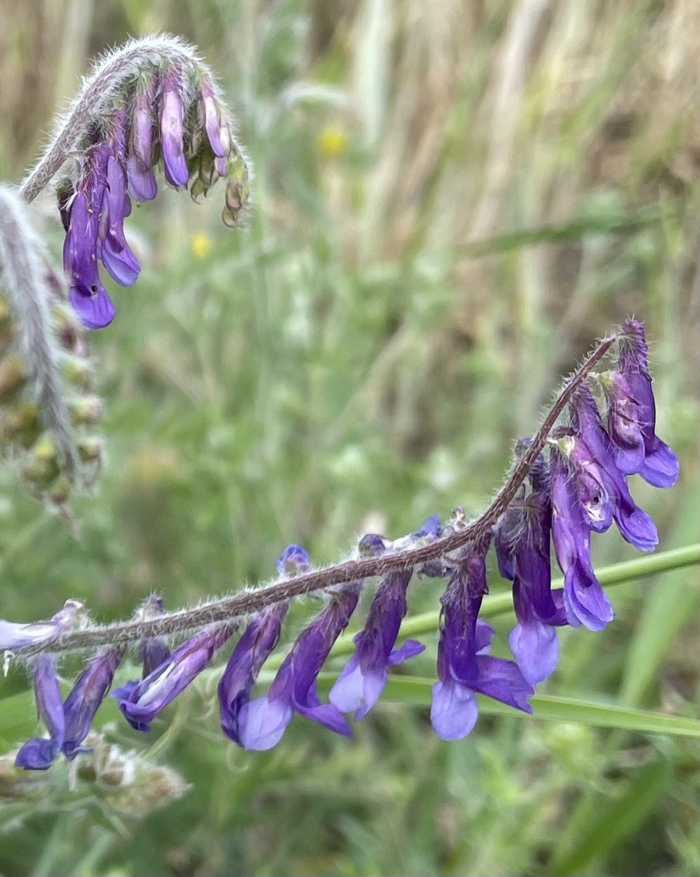 475DFCA1-C8B3-4940-8F0C-F19BC0D538BE