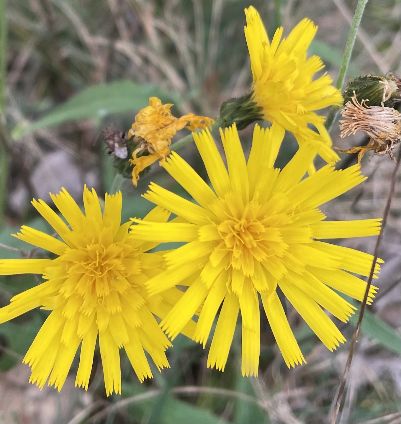 476F329E-3772-4EAD-B21D-4EAA5E9D4E46