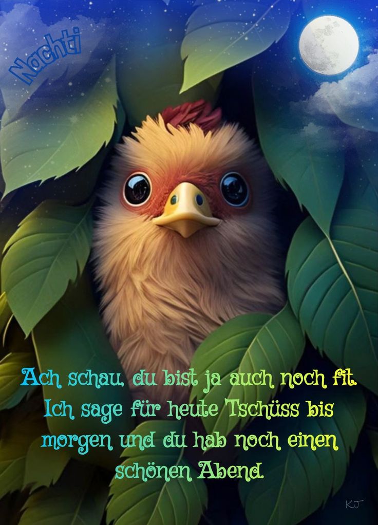 478fbe63-71d3-4957-b552-c65fa0c566b9